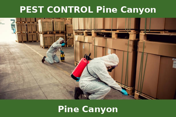 PEST CONTROL Pine Canyon